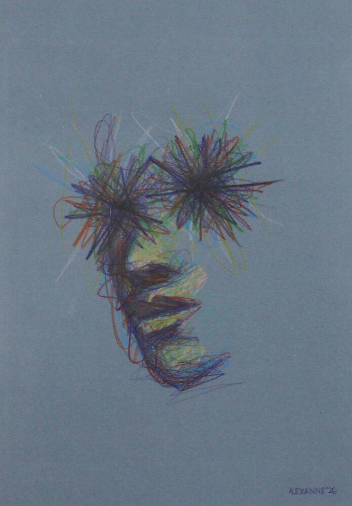 Éblouissement, 9"x12", 2026, Crayon de bois sur papier, 150$ encadré ou 140$ sans encadrement