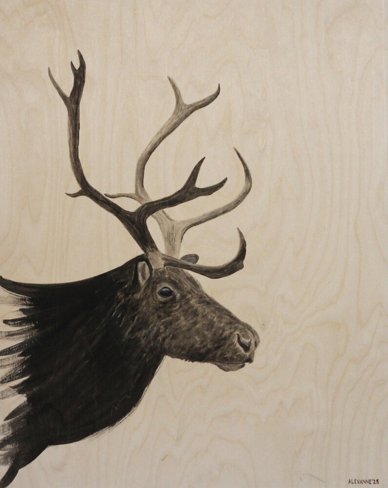 Paul le Caribou, 24"x36", 2025, Encre de Chine sur panneau de bois profondeur galerie, 550$