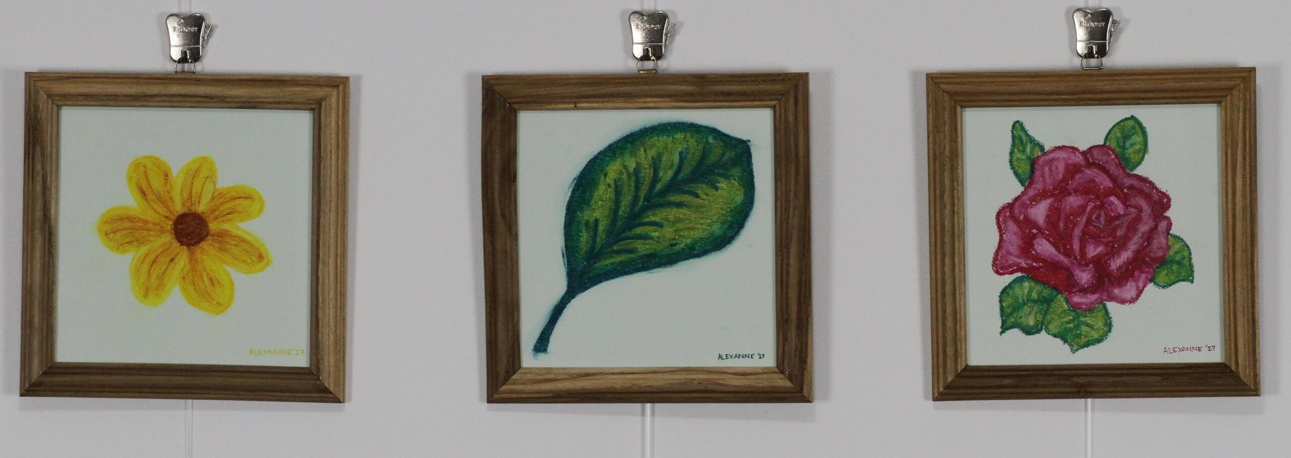 Jardin, 4x 8"x8", 2017, Pastel à l'huile sur papier, 75$